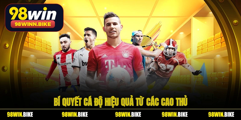 Bí quyết cá độ hiệu quả từ các cao thủ